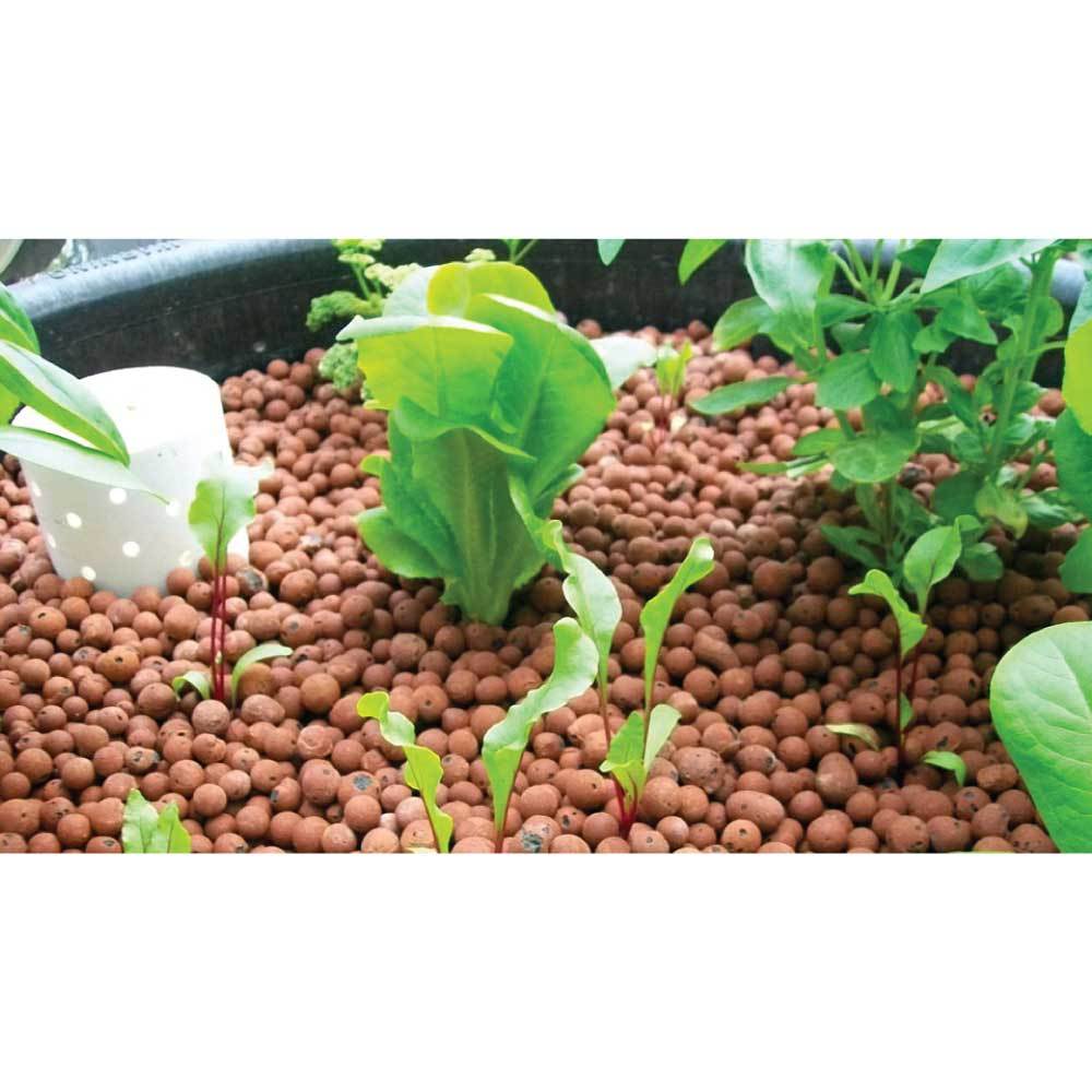 50L Hydro Clay Balls - Organic Premium Hydroponic Expanded Plant Growing Medium-3