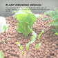 1L Hydro Clay Balls - Organic Premium Hydroponic Expanded Plant Growing Medium-8