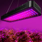 Greenfingers Set of 2 LED Grow Light Kit Hydroponic System 2000W Full Spectrum Indoor-7