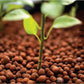 50L Hydro Clay Balls - Organic Premium Hydroponic Expanded Plant Growing Medium-1